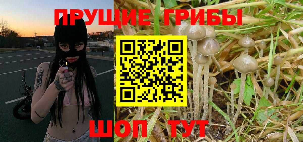 Галлюциногенные грибы GOLDEN TEACHER Ухта